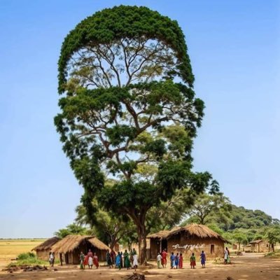 BobWangwe's profile picture