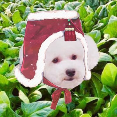 nos 🥬 บันทึกรักการอ่าน (ยุ่ง/ตอบช้ามาก🚨)'s profile picture