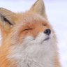 Rita's profile picture