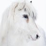 Kymberley Sauer's profile picture