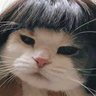 Beyeon's profile picture