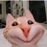 أفنان's profile picture
