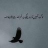 ♡Amir•Sindhi ♡ profil fotoğrafı
