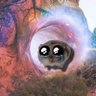 CryptoNavigator's profile picture