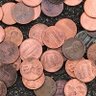 Profilbild von Jalene Cooke