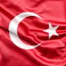 emirhan türkoğlu's profile picture