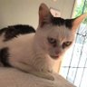 Jean profil fotoğrafı