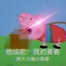 qinnin's profile picture