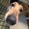 Rae :3's profile picture
