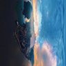 张先生's profile picture