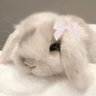 sleepthroat's profile picture