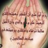 🌺 سلطان 🌺's profile picture