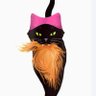 Фото профиля 🪷🐝 Childless, Nasty 🐈🐶 Woman for Kamala🦅🇺🇸