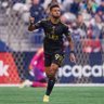 LAFC fan ⭐️ profil fotoğrafı