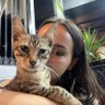 mitra's profile picture