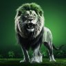 RisingPakistan profil fotoğrafı