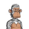 Falcon Zibara 🦓 的头像