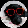 Gracielli 🧭 🧉😍🏹 profil fotoğrafı