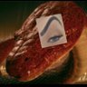 Jesus Rivera's profile picture