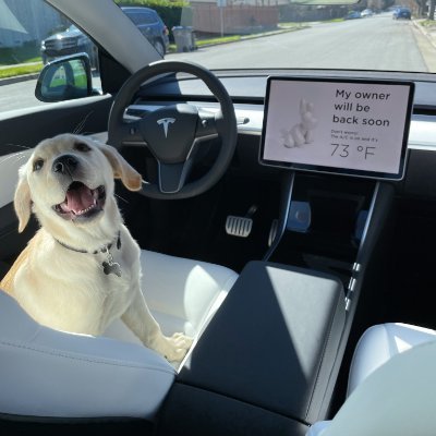 차곡차곡_teslapuppy's profile picture