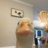 cam profil fotoğrafı