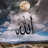 أبو شهاب الشمال 的头像