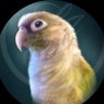 Фото профиля Christy 🦜