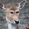 Profilbild von Poststelle Berlin Charlottenburg