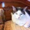 Profilbild von Ringo63