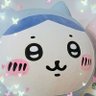 🐈‍⬛🐈魔法少女やプリキュアに同名がいるやつ🐕️🐢's profile picture