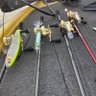 こっそり太郎 的头像