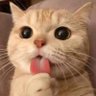 lovely profil fotoğrafı