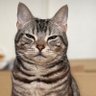 Profilbild von RYU