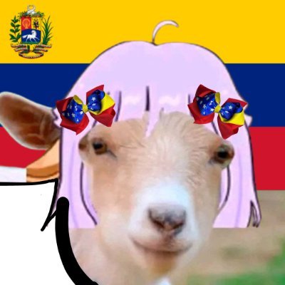 NandaVT's profile picture