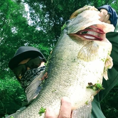 タケヒコ's profile picture
