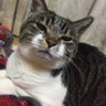 ふじやん's profile picture