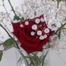 Rosine B's profile picture