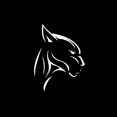 D A R K 🪨's profile picture