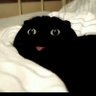 Excali's profile picture