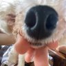 Mole 的头像