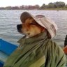 agus's profile picture