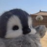 Reza Yosefi's profile picture