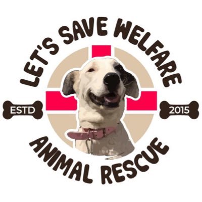 letssavewelfare's profile picture