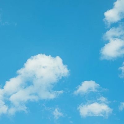 bluesky (블루하늘)'s profile picture