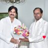 Profilbild von Hariprasad Rao Berelli