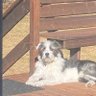 Profilbild von Cam