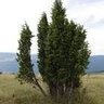 Фото профиля Jalovec7997