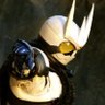 Profilbild von Ginga Zi-O