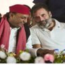 MSK Lucknow - Crockroch youth r Dimagi nuxal profil fotoğrafı