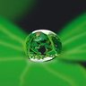 Фото профиля diandiandidi